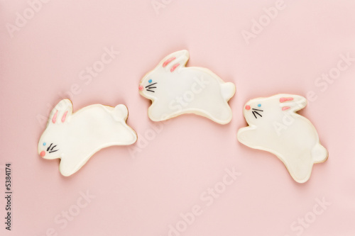 Photo: Bunny sugar cookies. Bunny sugar cookies.