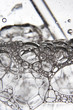 Blowing bubbles into a glass of water