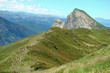 Dent d'orlu