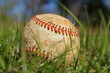 Old Baseball in the Grass