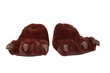 Bear Foots Bear Foots