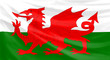 Illustration: welsh flag welsh flag