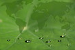 Concept for a green world