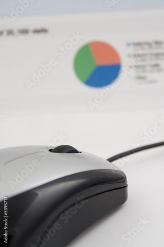 Foto: Mouse on a chart Mouse on a chart