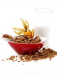 schoko müsli frühstück mit milch