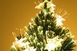 christmas christmas