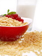 popreis frühstück mit milch