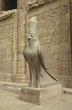 Horus