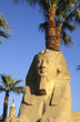 Sphinx