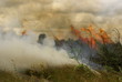 feuer