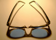 sunglass