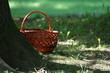 summer basket