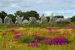 Prehistoric megalithic monuments menhirs in Carnac, France Prehistoric megalithic monuments menhirs in Carnac, France