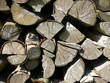 Holz