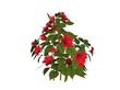 Illustration of a hibiscus (raytraced image)