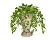 Illustration of a philodendron, a hanging plant