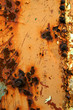 Rusty wall