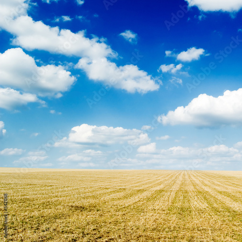 Autumn field on a background of the blue sky and white clouds.