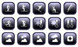set of various winter ski.