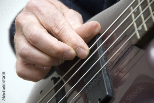 bassiste bassiste