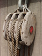 Rigging