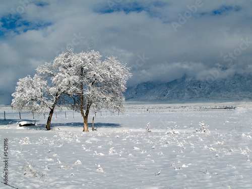 Photo: Winter landscape Winter landscape