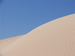canarie fuerteventura 7