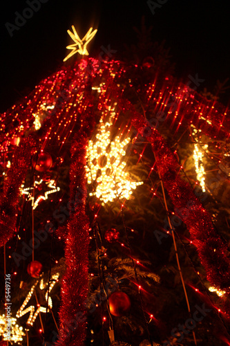 Photo: christmas tree christmas tree