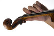 Fingering violinist