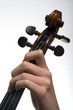 Fingering violinist