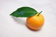 clementine one