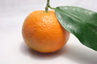 clems fruits