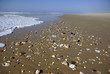 Plage déserte