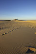 dune à perte de vue