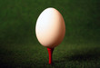 Pegged egg for careful hitting when glofing