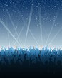 Cheering Crowd Under Stars