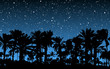 Palm Trees Under Stars