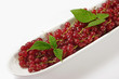 Johannesbeeren in einer Schale auf hellem Hintergrund