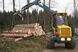 Foto: Holzschlag_4 Holzschlag_4