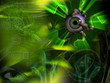vert
