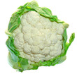 cauliflower over white cauliflower over white
