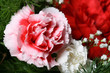 card flowers