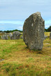 Megalithic monuments in Brittany Megalithic monuments in Brittany