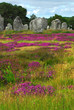 Megalithic monuments in Brittany Megalithic monuments in Brittany