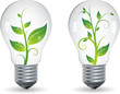 Ampoules avec plantes, image vectorielle