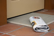 Daily newspaper 