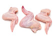 object on white - food - chicken wing
