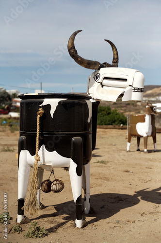 Photo: Bull Bull