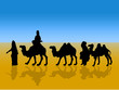 Re magi