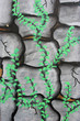 grafitti color image